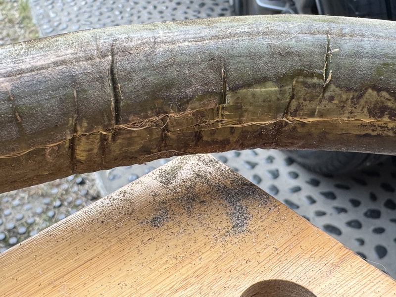 sand in side