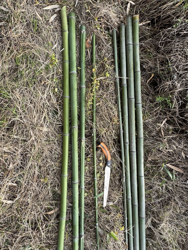 Cut some of them