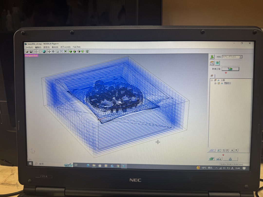 rough cut toolpath