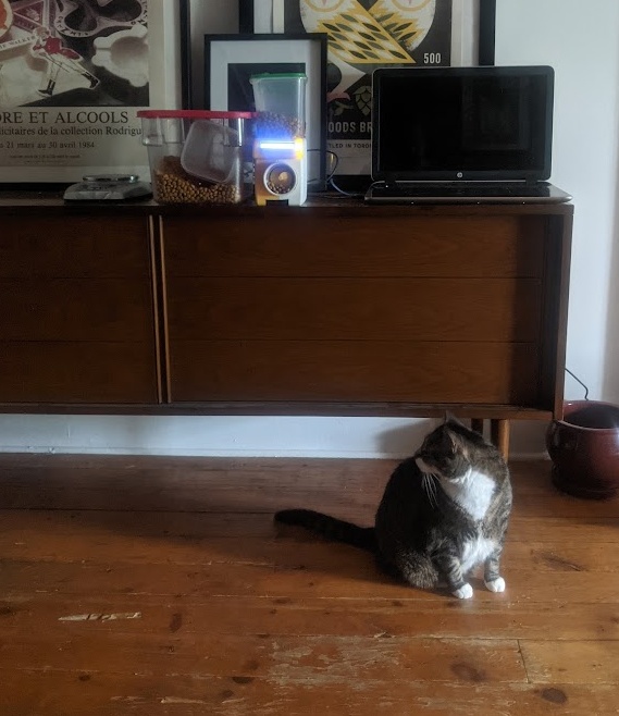 and now it we can safely leave kitty for a weekend knowing she'll be fed! Laptop is there so we can check up on her by remoting in on the webcam.