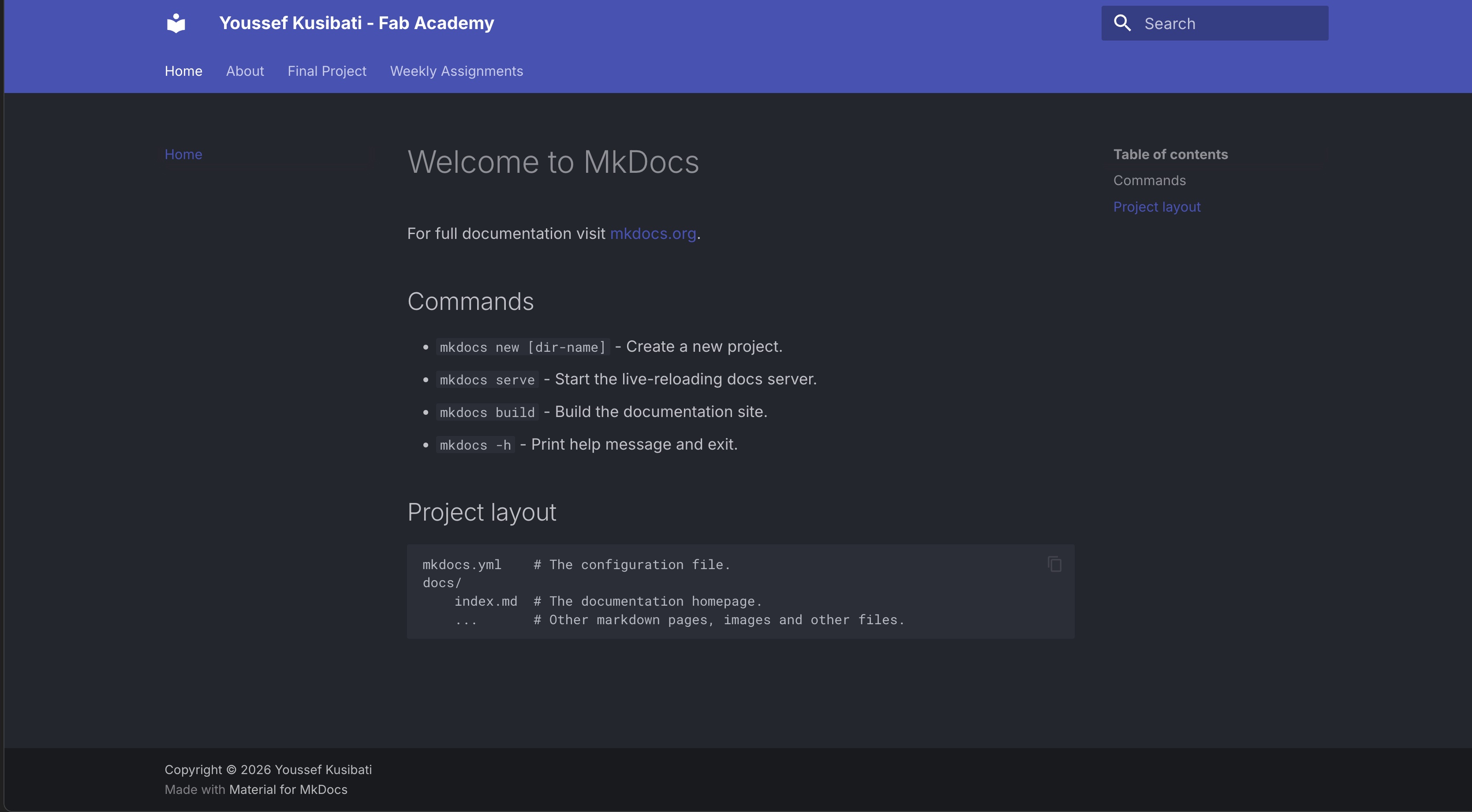 First website preview