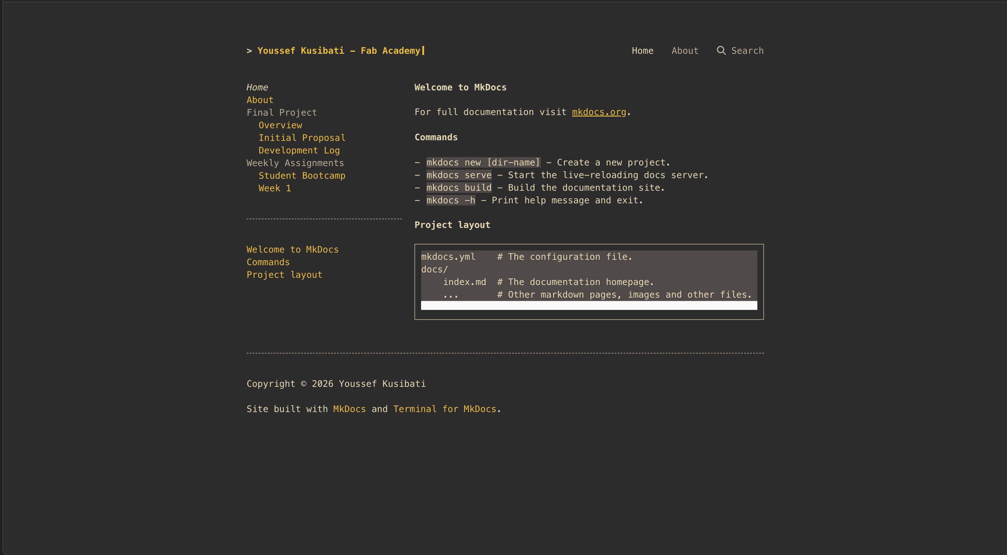 Website with terminal theme