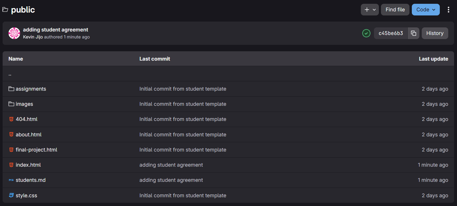 Gitlab after first push
