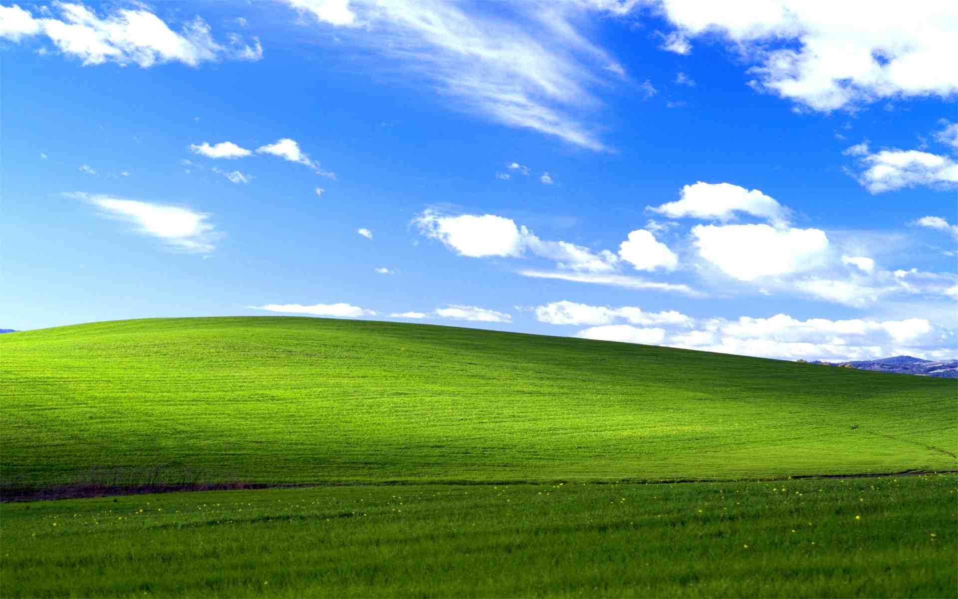 Windows XP Bliss wallpaper