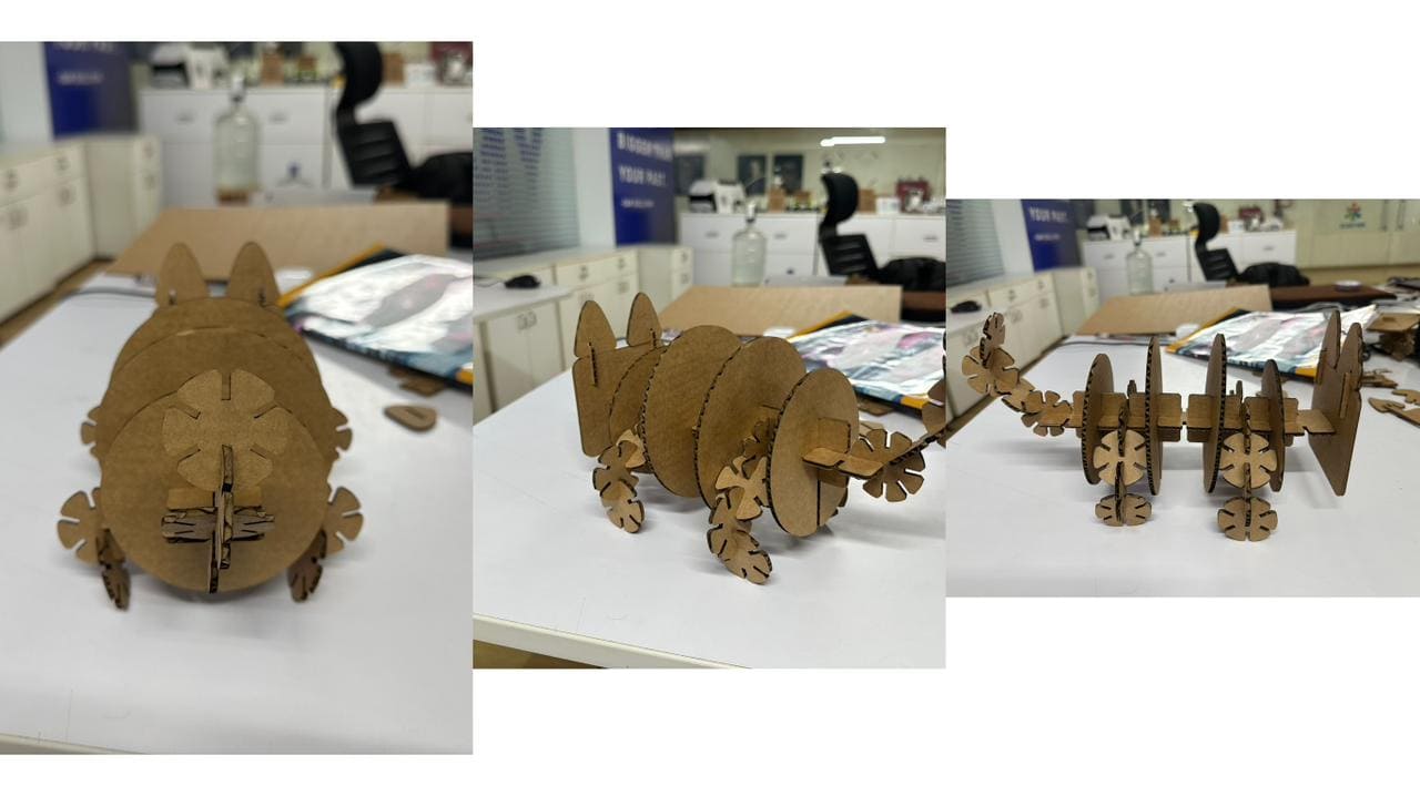 Another face configuration of the model