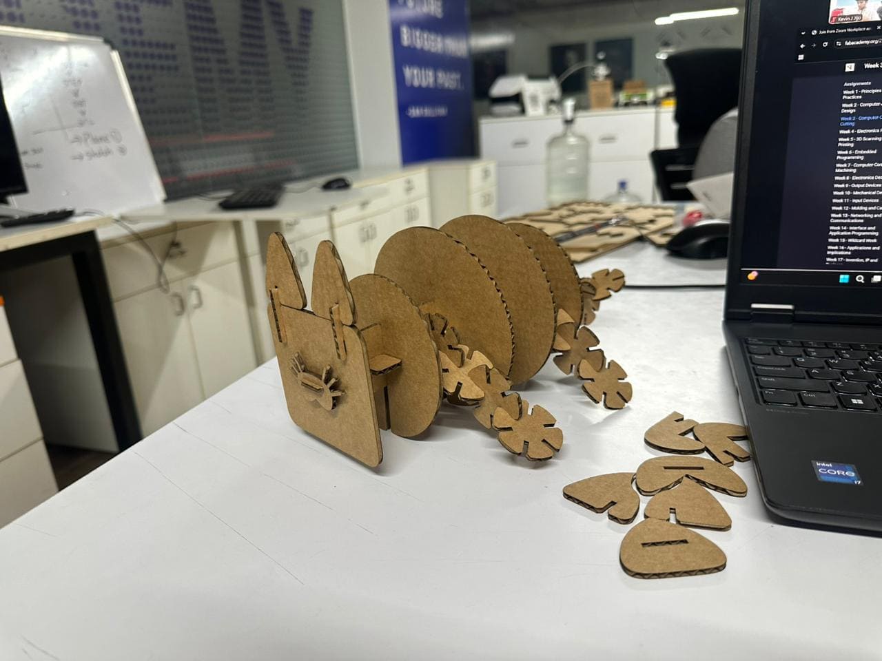 Final sleeping cat configuration