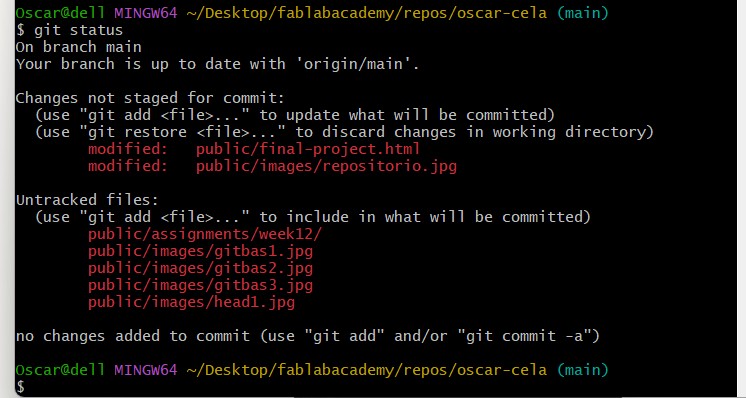 Git Bash step 4