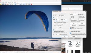 IrfanView interface with an image open