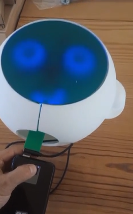 Electronic eyes