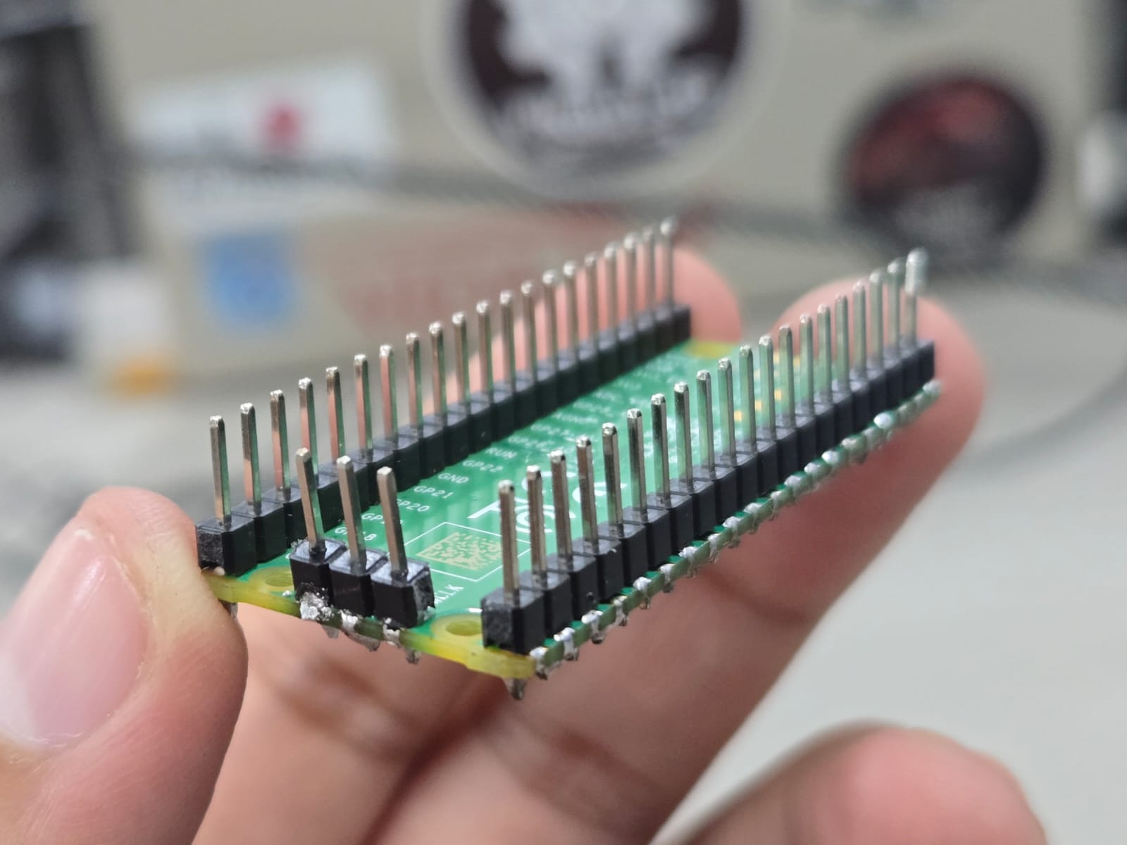 Zoom Meeting Screenshot