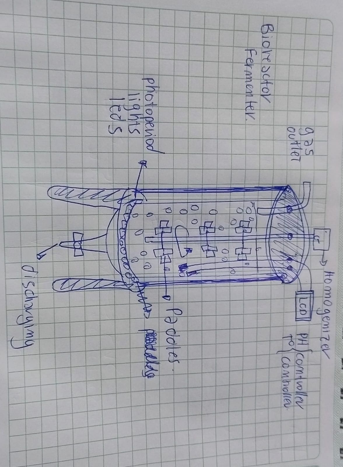 Bioreactor sketch