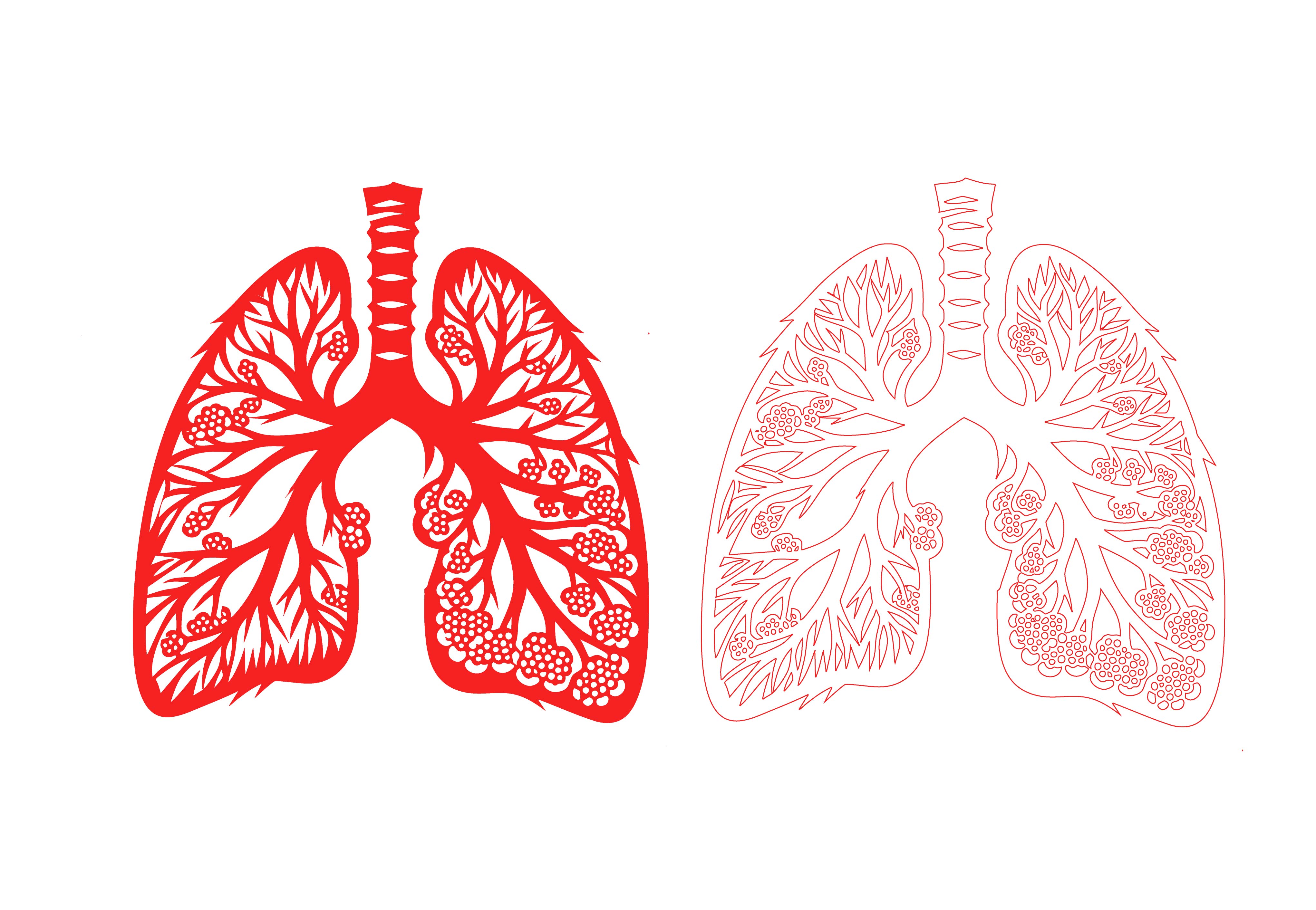Vector design of the lung sticker
