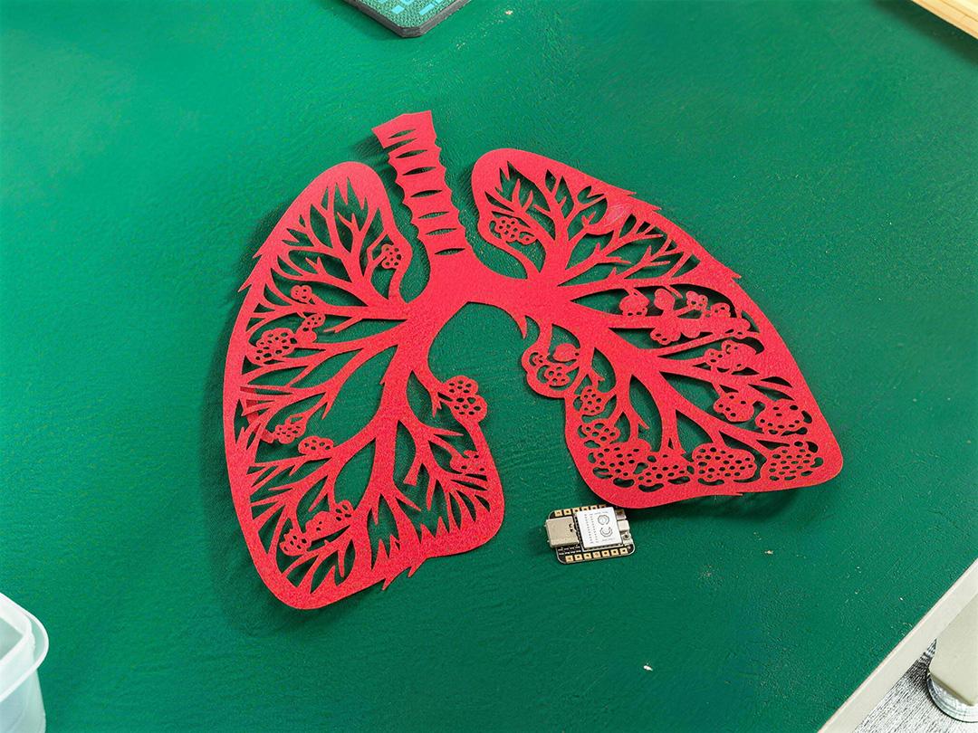 Final lung sticker