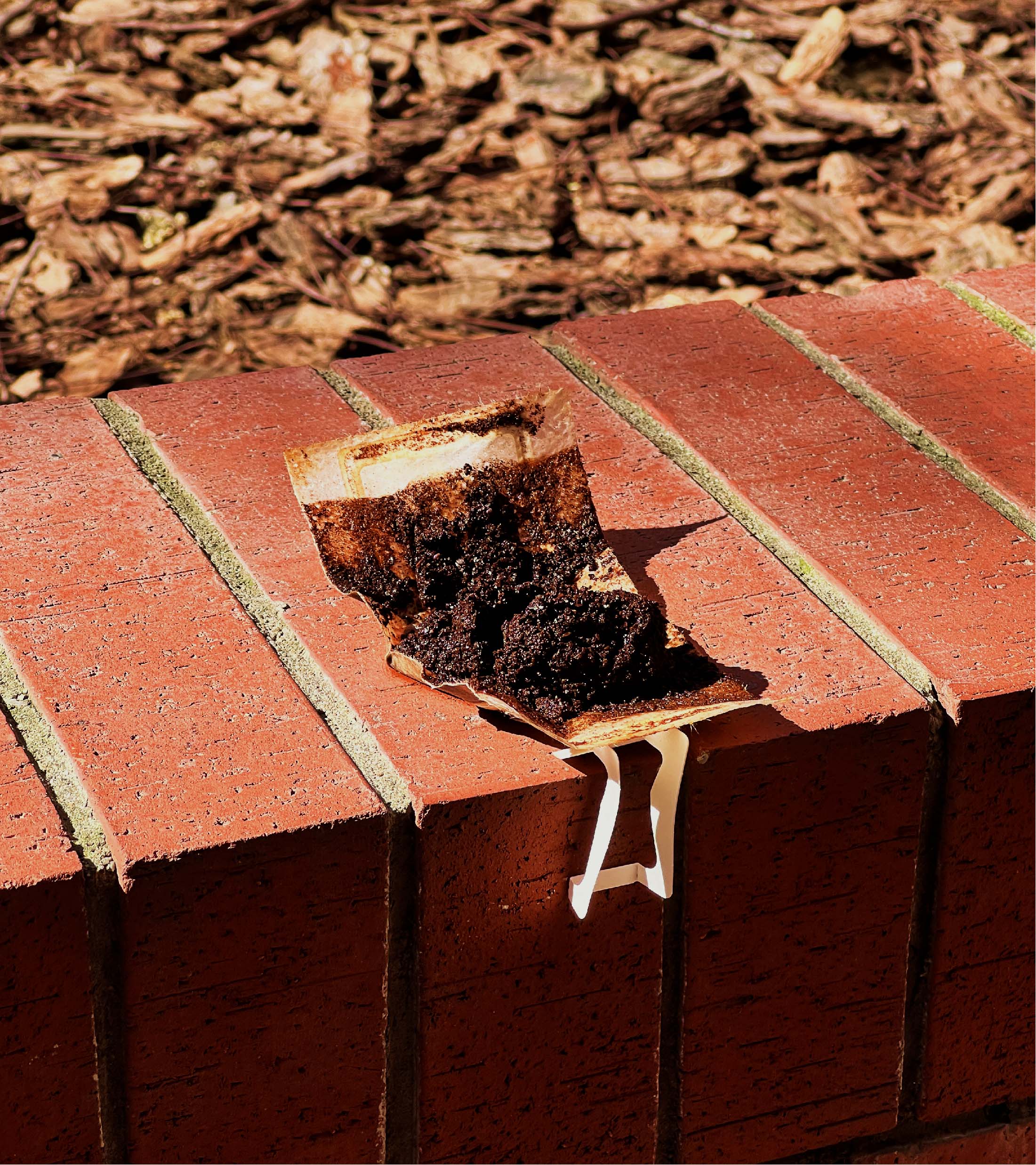 Coffee grounds added into a bio-material sheet