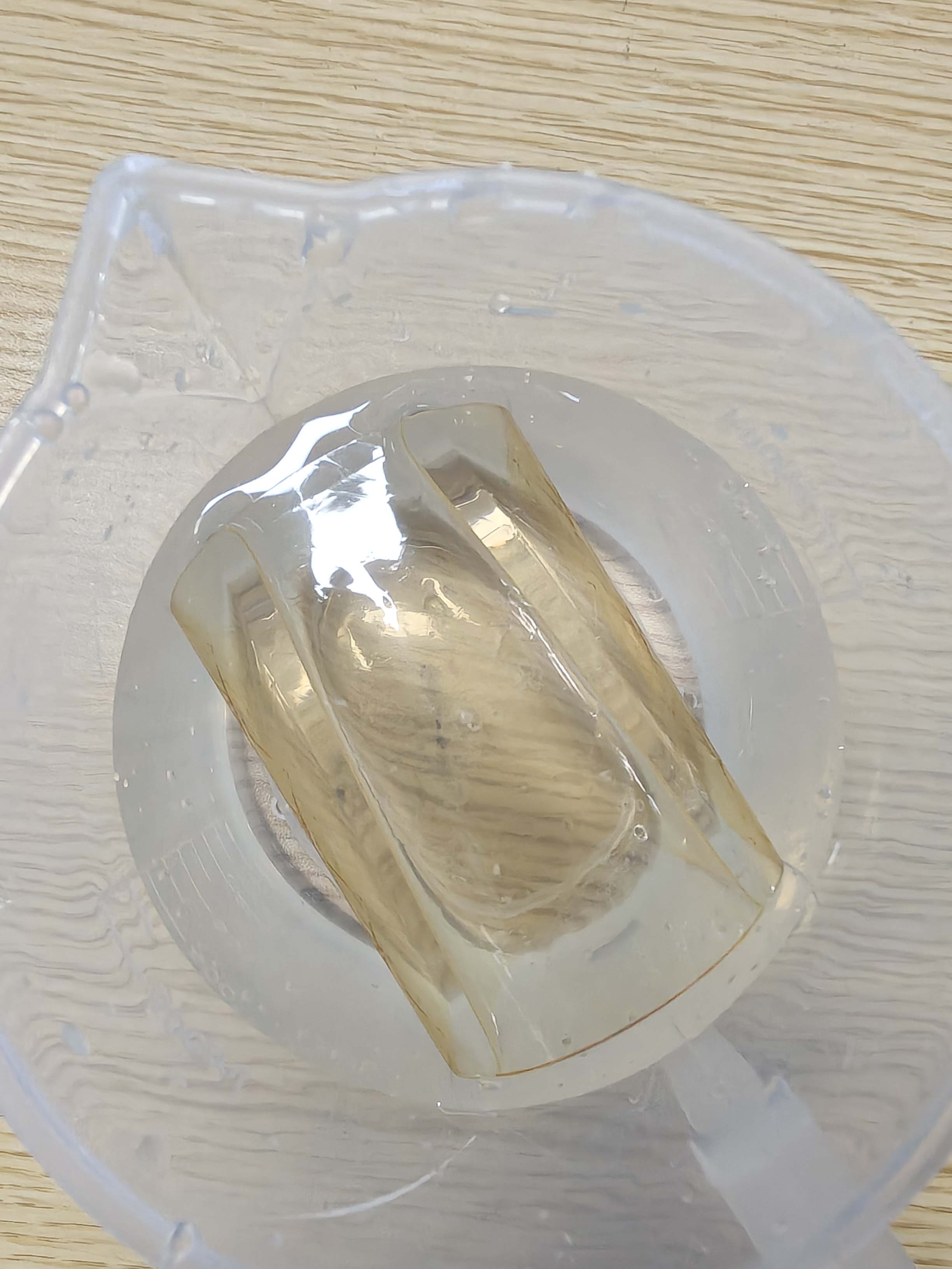 Gelatin sheets soaking in water before heating