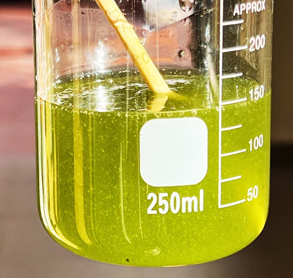 Green bio-material mixture in a beaker