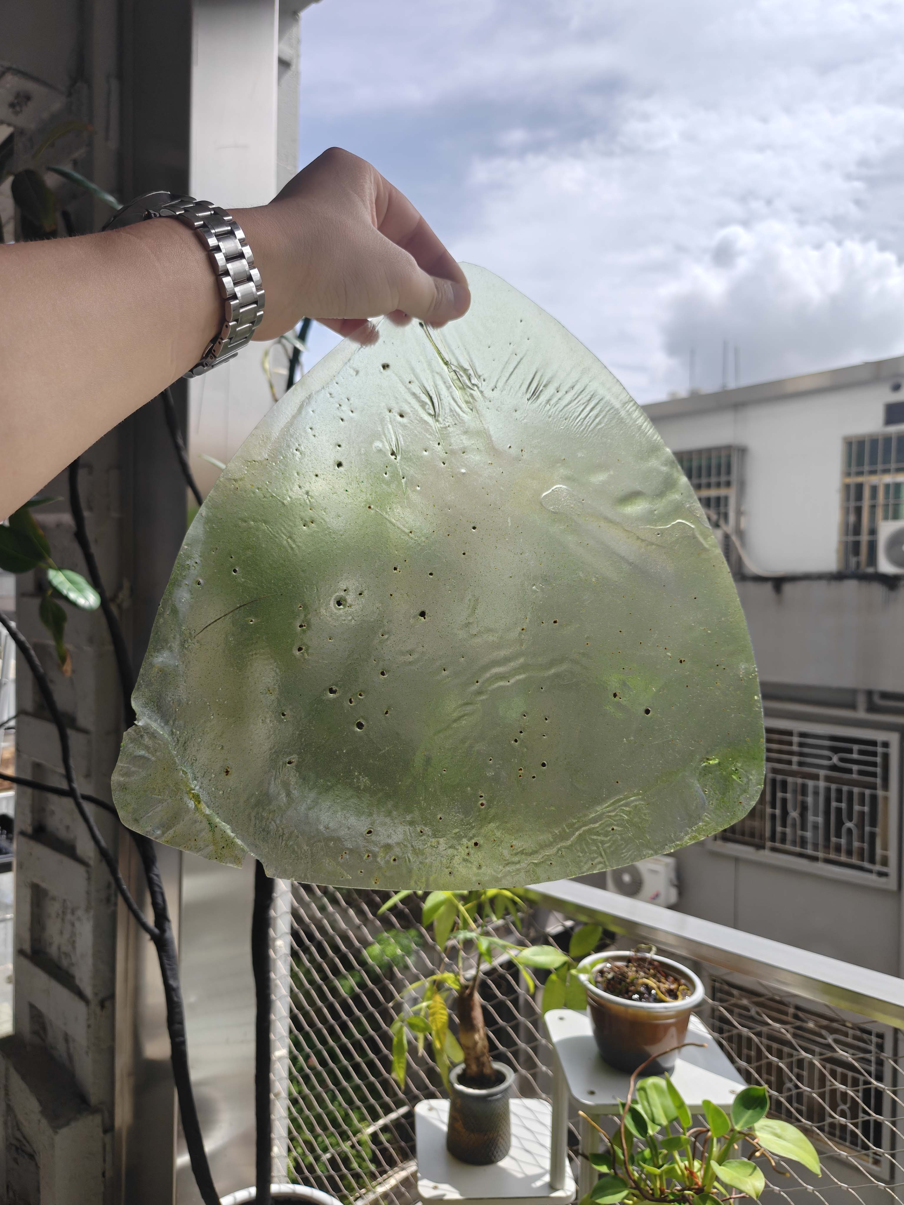 Green bio-material sheet tested against sunlight