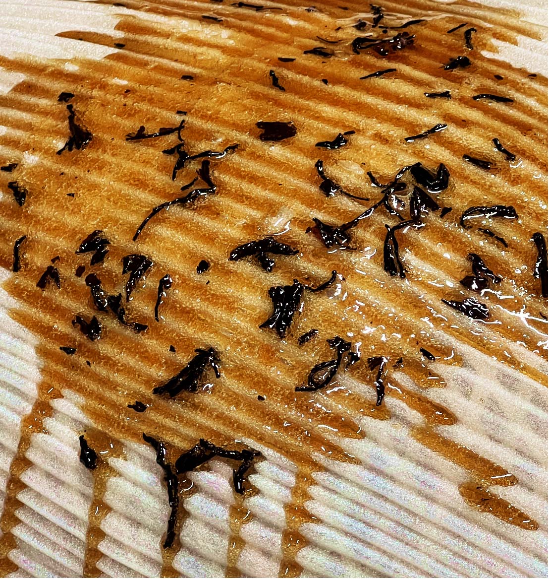 Tea waste added into the bio-material sheet