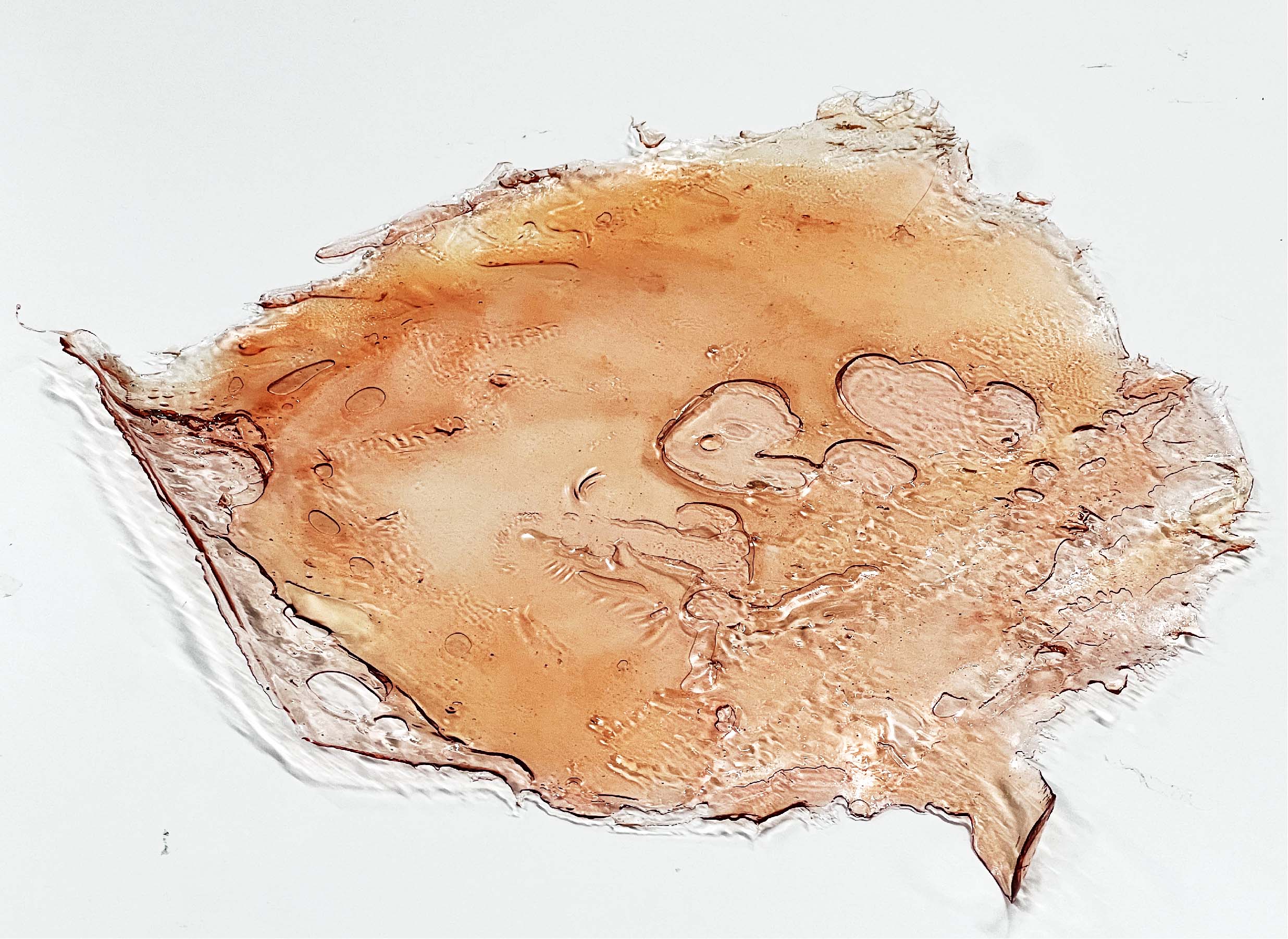 Thin orange bio-material sheet with irregular edges