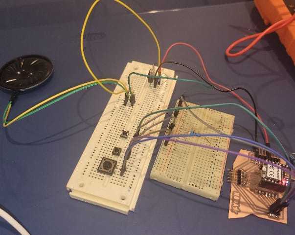 quentin's circuit new speaker