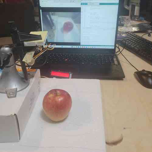 apple prediction