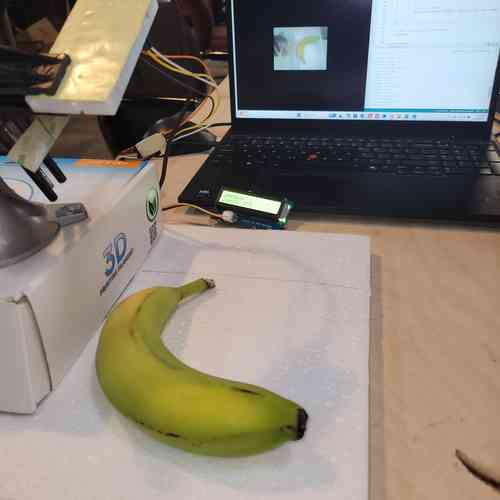 banana prediction