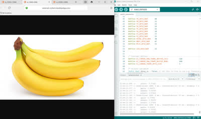 banana prediction camera