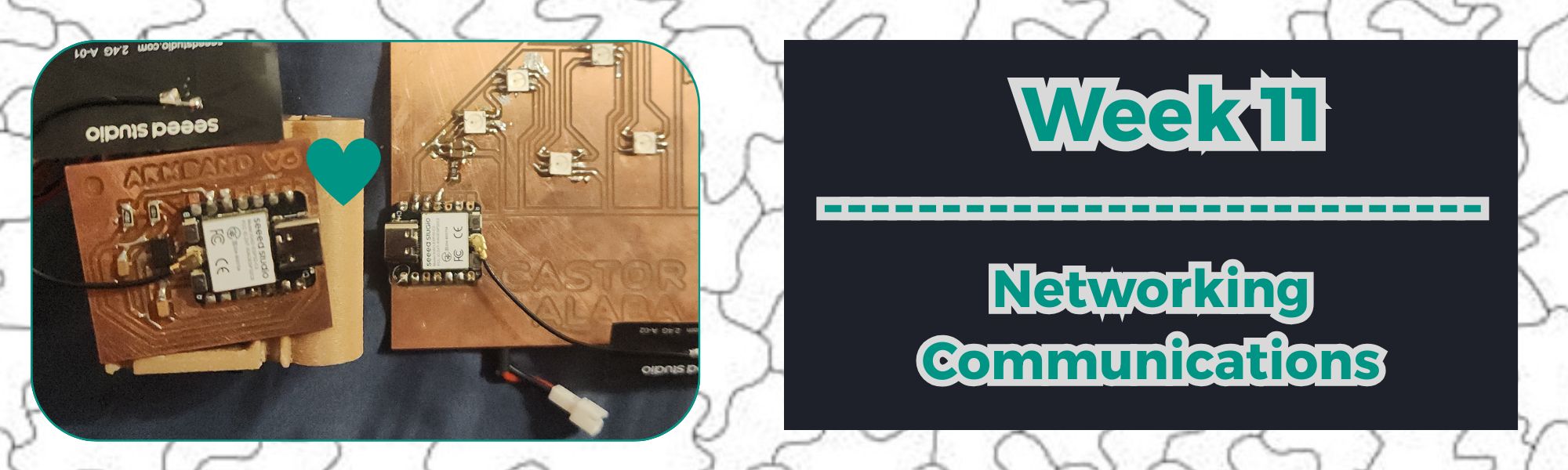 WEEK 11: Networking and Communications