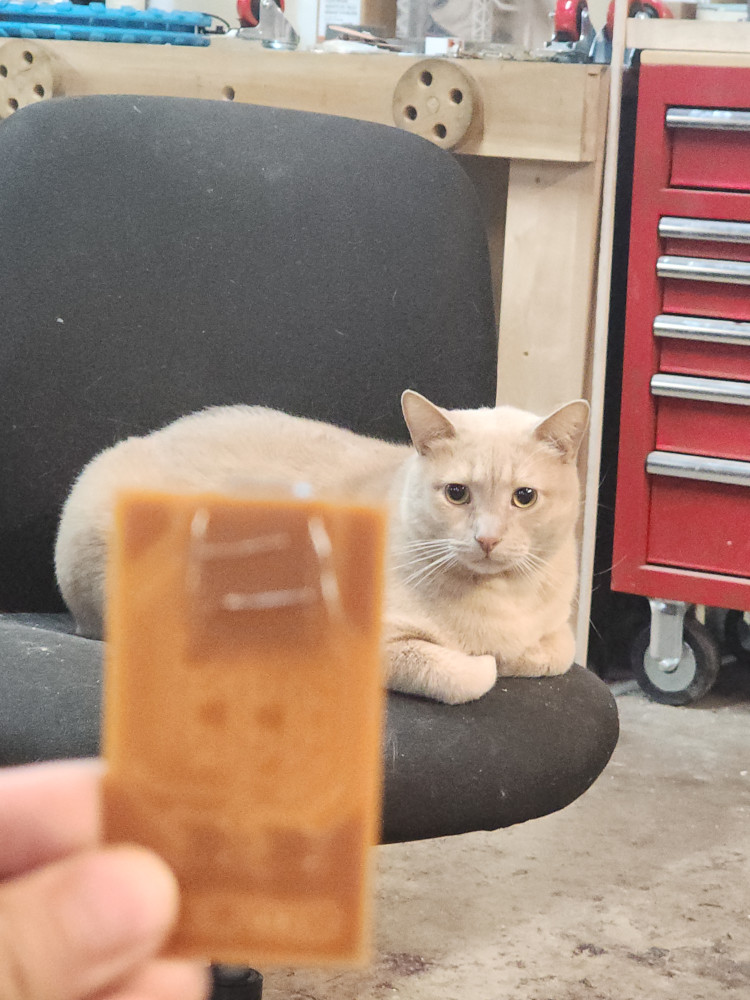 Kitty!