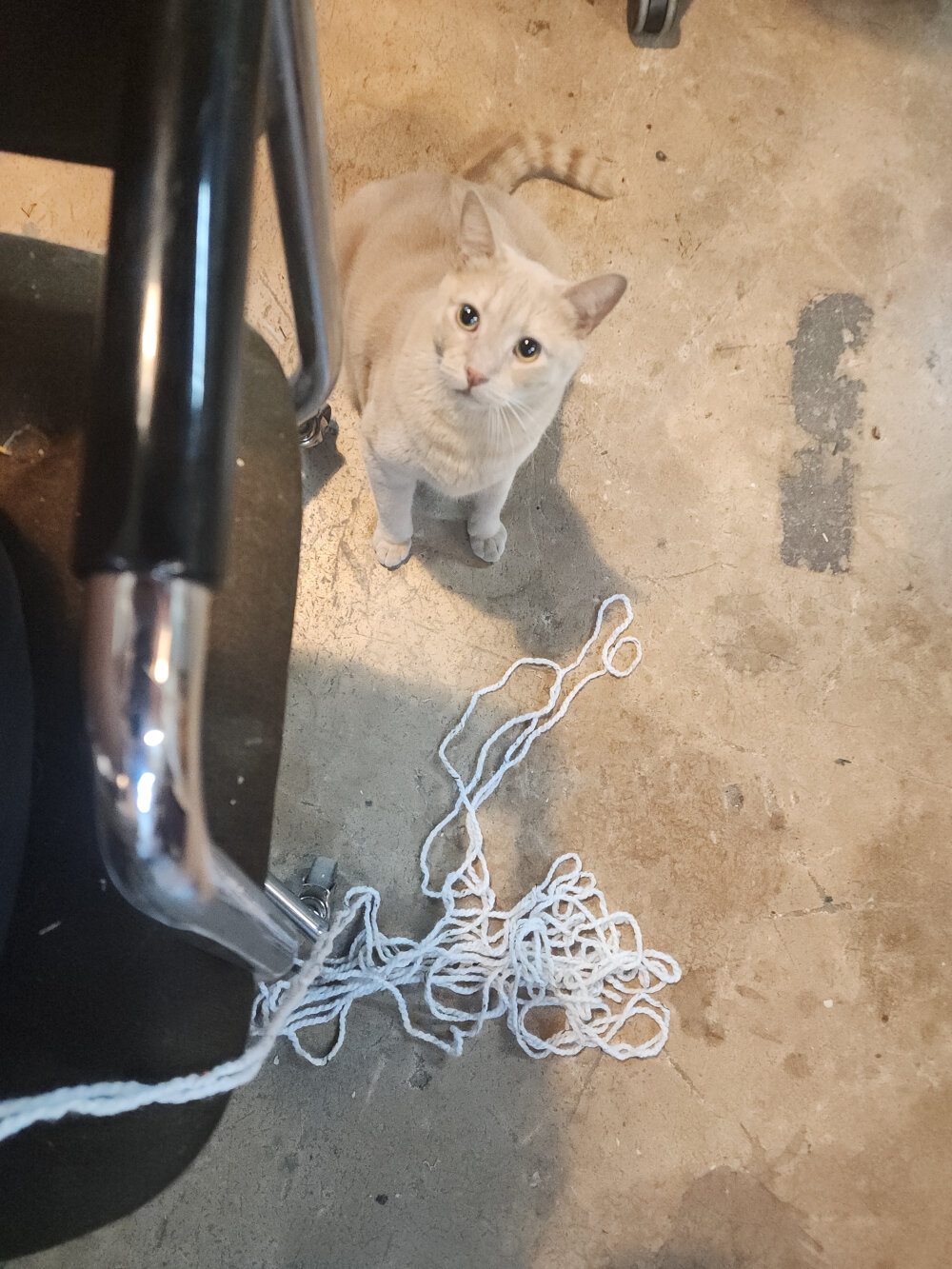 Echo with yarn