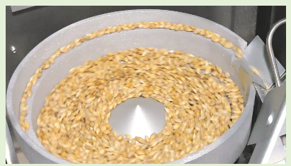 Puppy with curious eyes