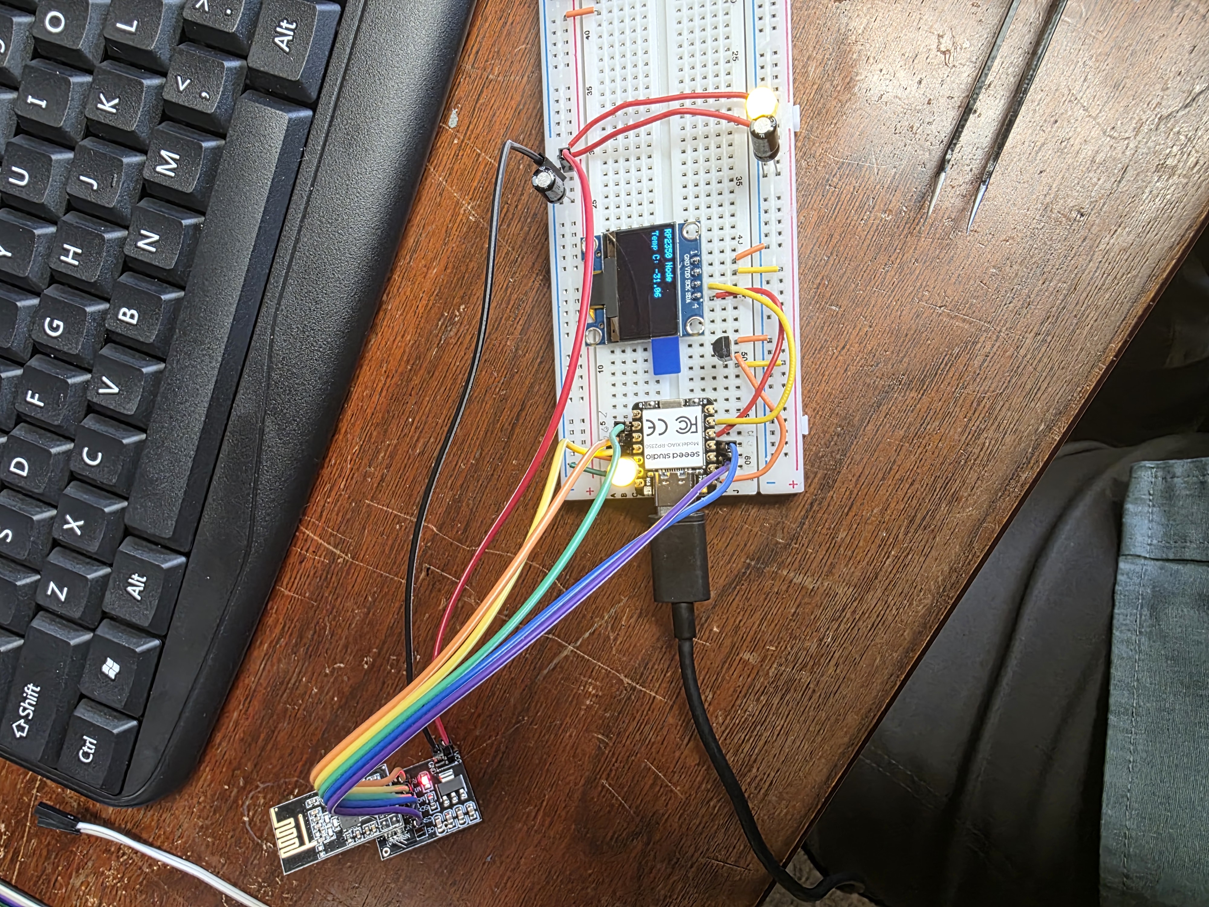 OLED temperature display