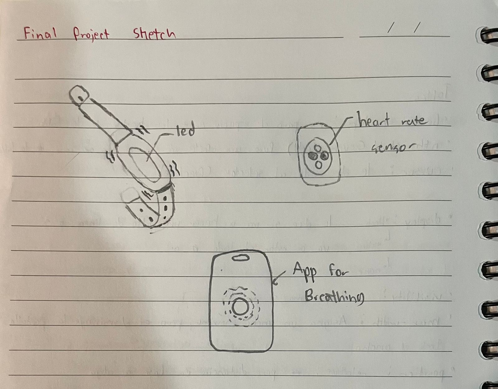 Final Project Sketch