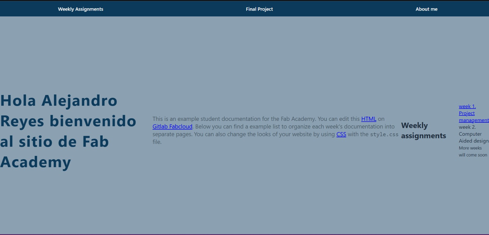 My first attempt doing my page
