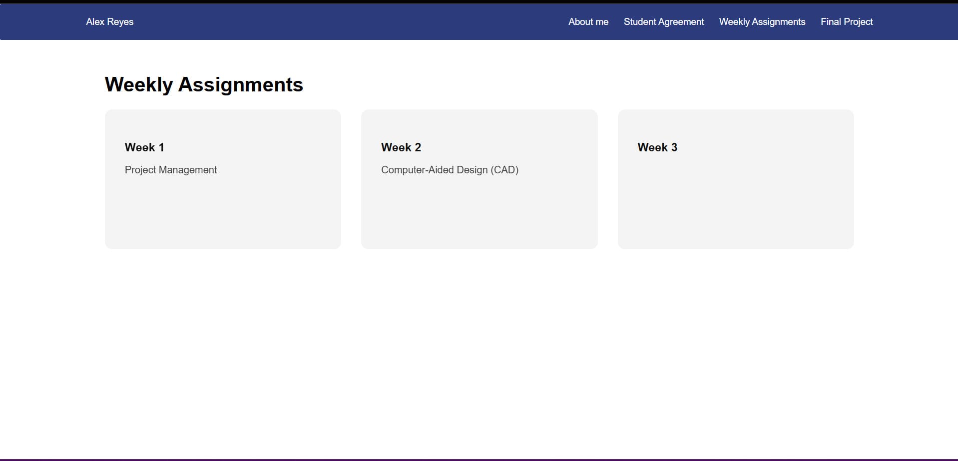 Final result of my weekly assignments grid