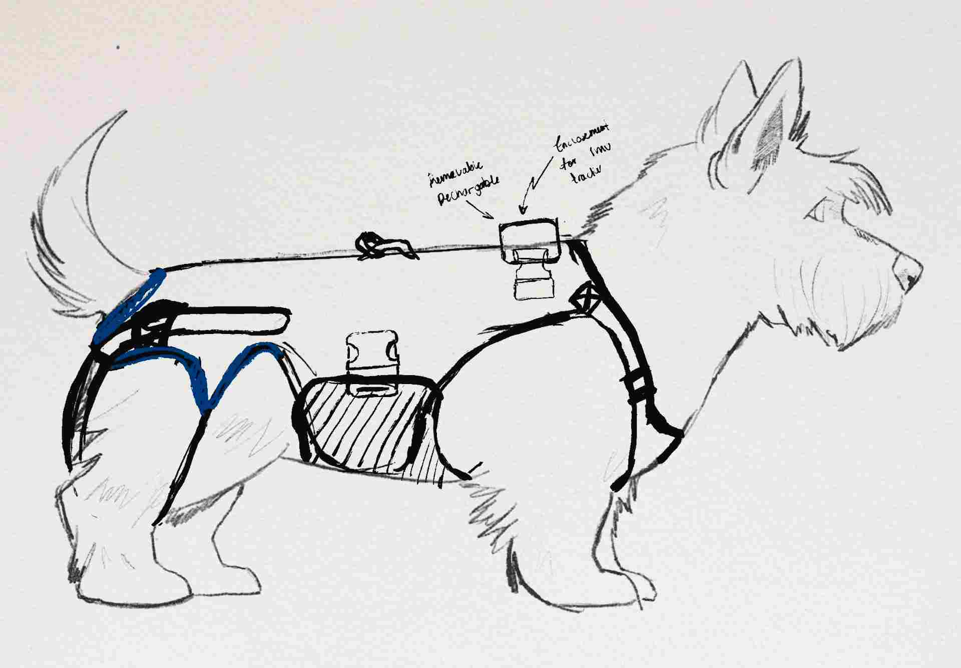 Sketch 2