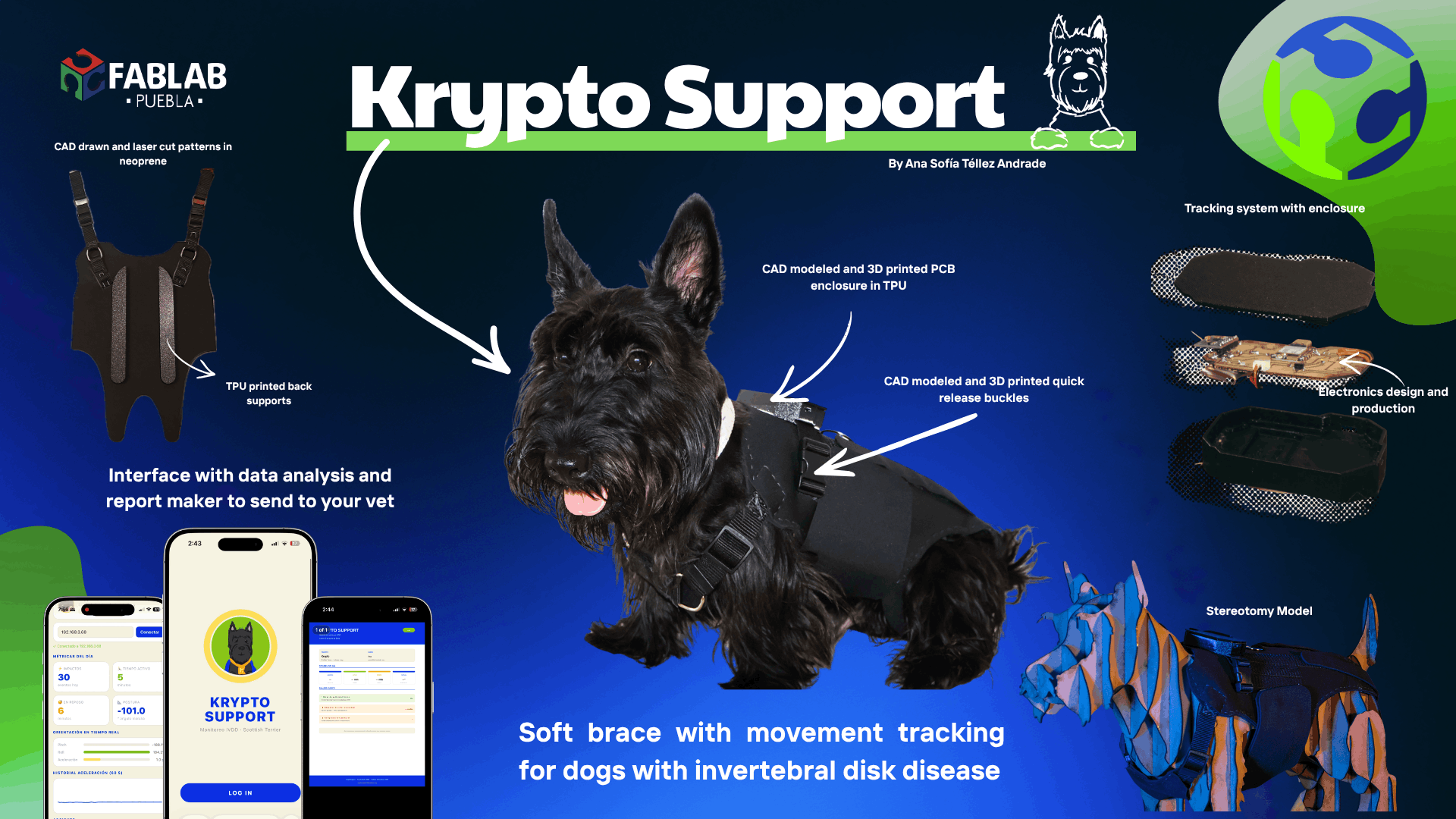 Krypto Support — Final Project Slide