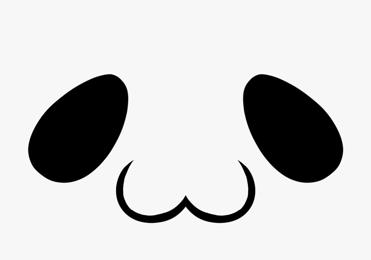Final Project’s Face