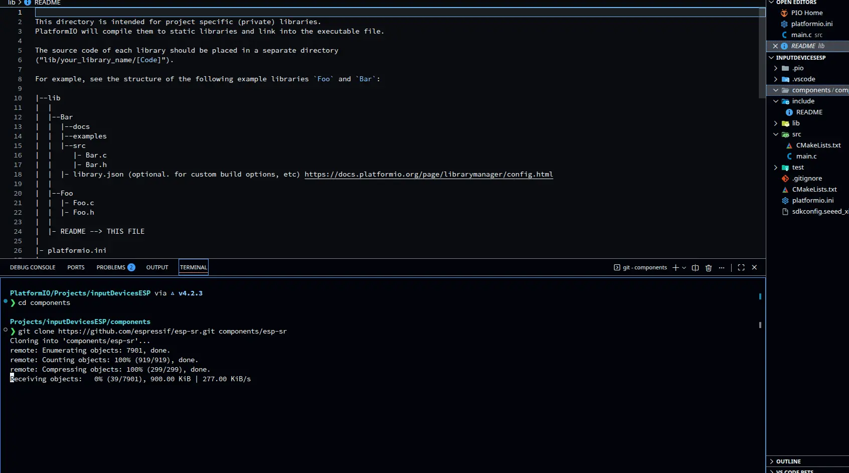cloning the repo