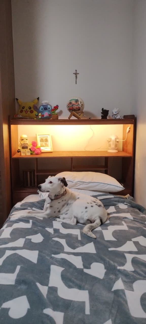 Final furniture result