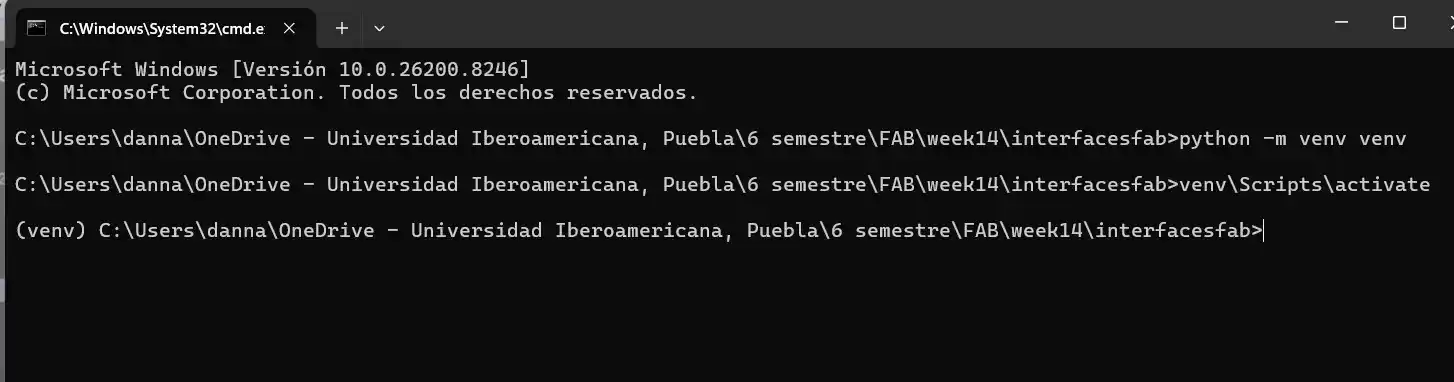 Virtual Environment Setup