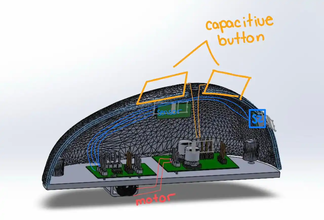 Virtual Environment Setup