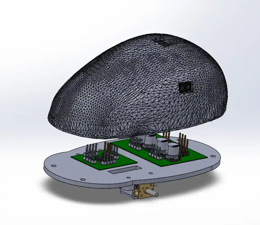 Virtual Environment Setup