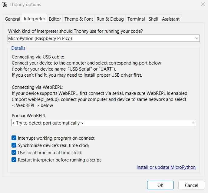 Port detection in Thonny