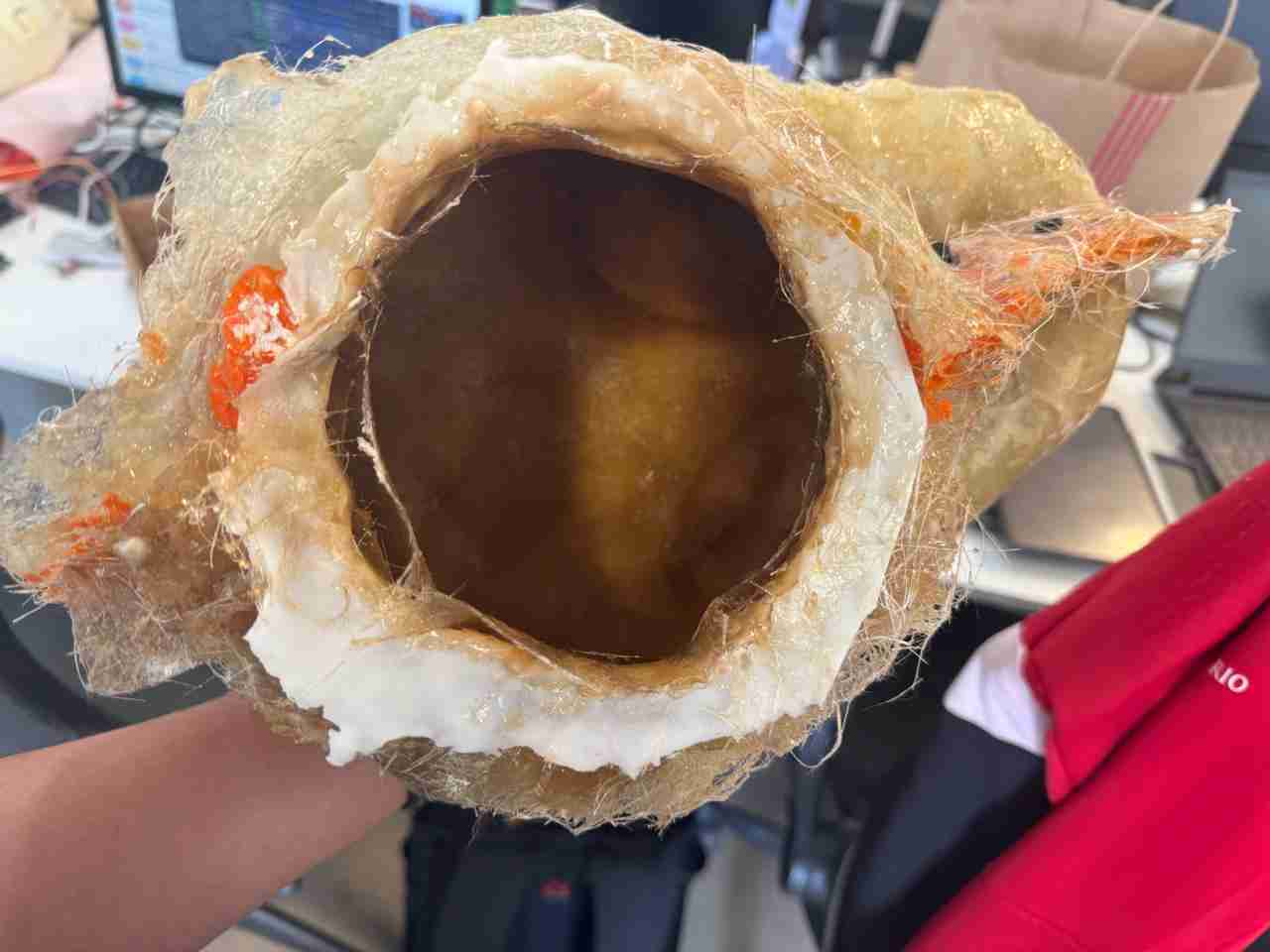 mold20_compressed