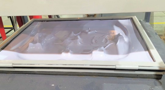 Final thermoformed plate overview