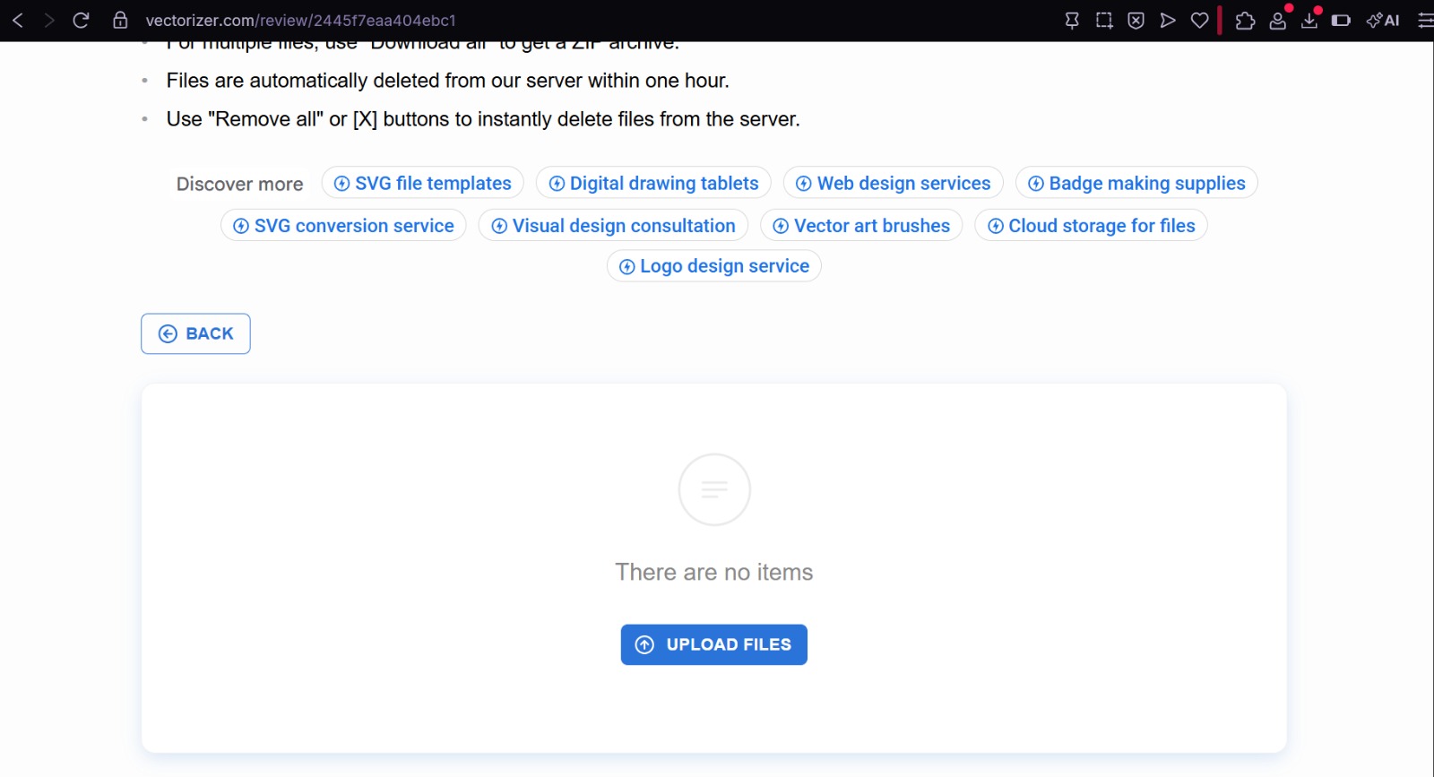 Vectorizer Interface