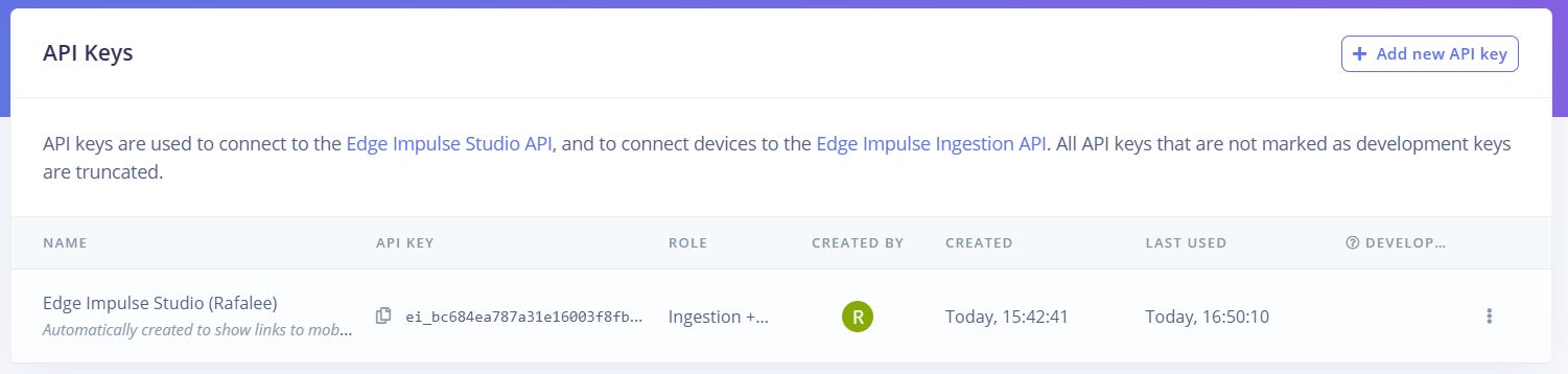 API key in Edge Impulse project settings