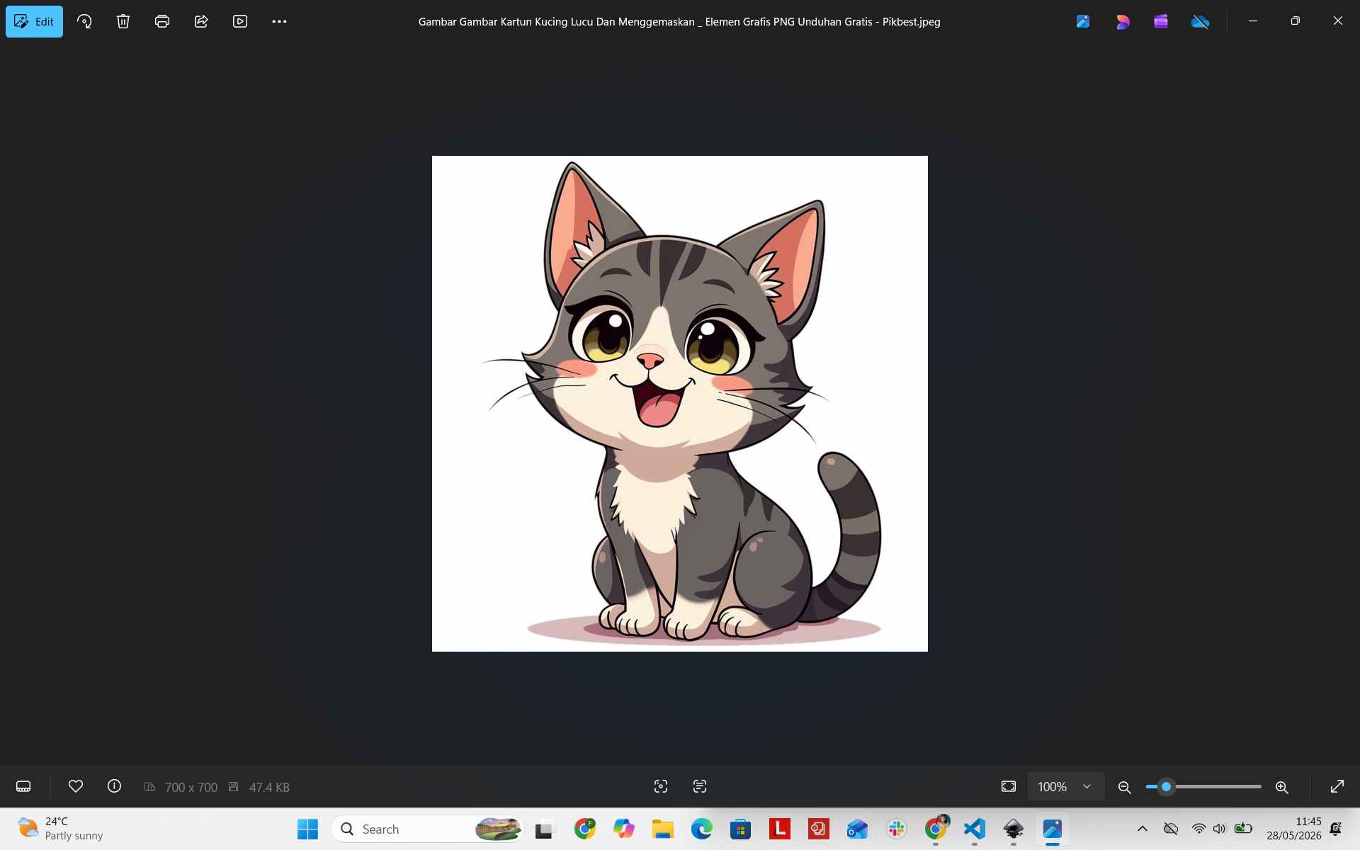 Image verified locally