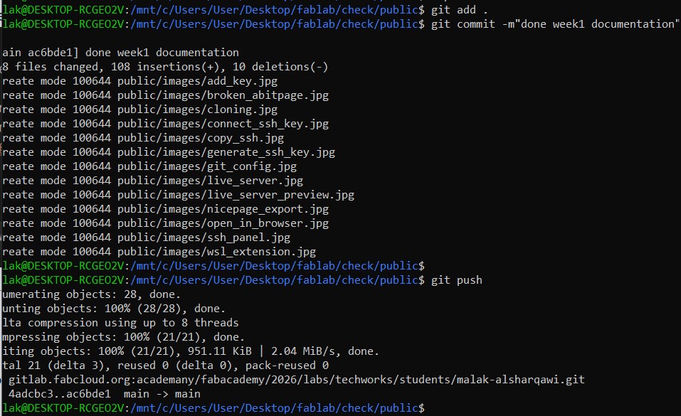 Git push in WSL terminal